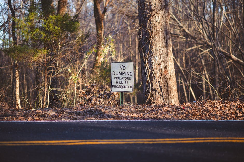 A roadside scene featuring a rectangular white metal sign with black lettering that reads 'NO DUMPING VIOLATORS WILL BE PROSECUTED,' positioned in front of a large, textured tree trunk with brown bark. The sign is mounted on a green metal post set among a layer of fallen leaves and small twigs at the edge of a paved road with a double yellow line running along the bottom of the image. In the background, there is a dense wooded area with leafless trees and sparse green foliage, indicating a late autumn or winter season. The lighting suggests a clear day with sunlight illuminating the scene, casting slight shadows on the ground and highlighting the rough texture of the tree bark and the sign’s surface. The setting emphasizes the importance of designated waste disposal zones and the prohibition of illegal dumping on natural land, aligning with the context of rubbish removal and environmental protection services offered by Rubbish Collection Mayfair.